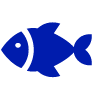 Akvarijní ryby a zvířata