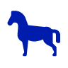 Plnokrevní koně